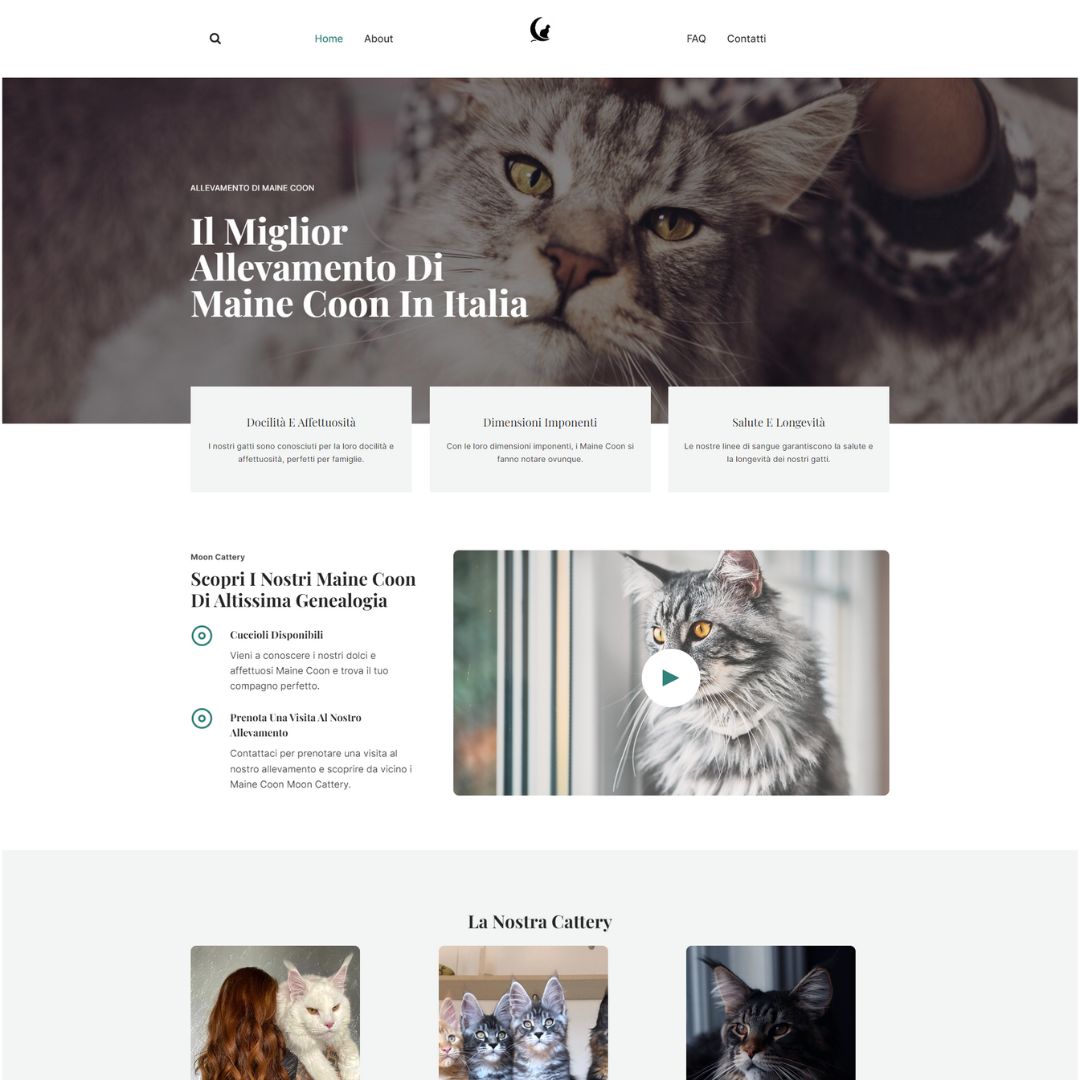 Moon-Cattery